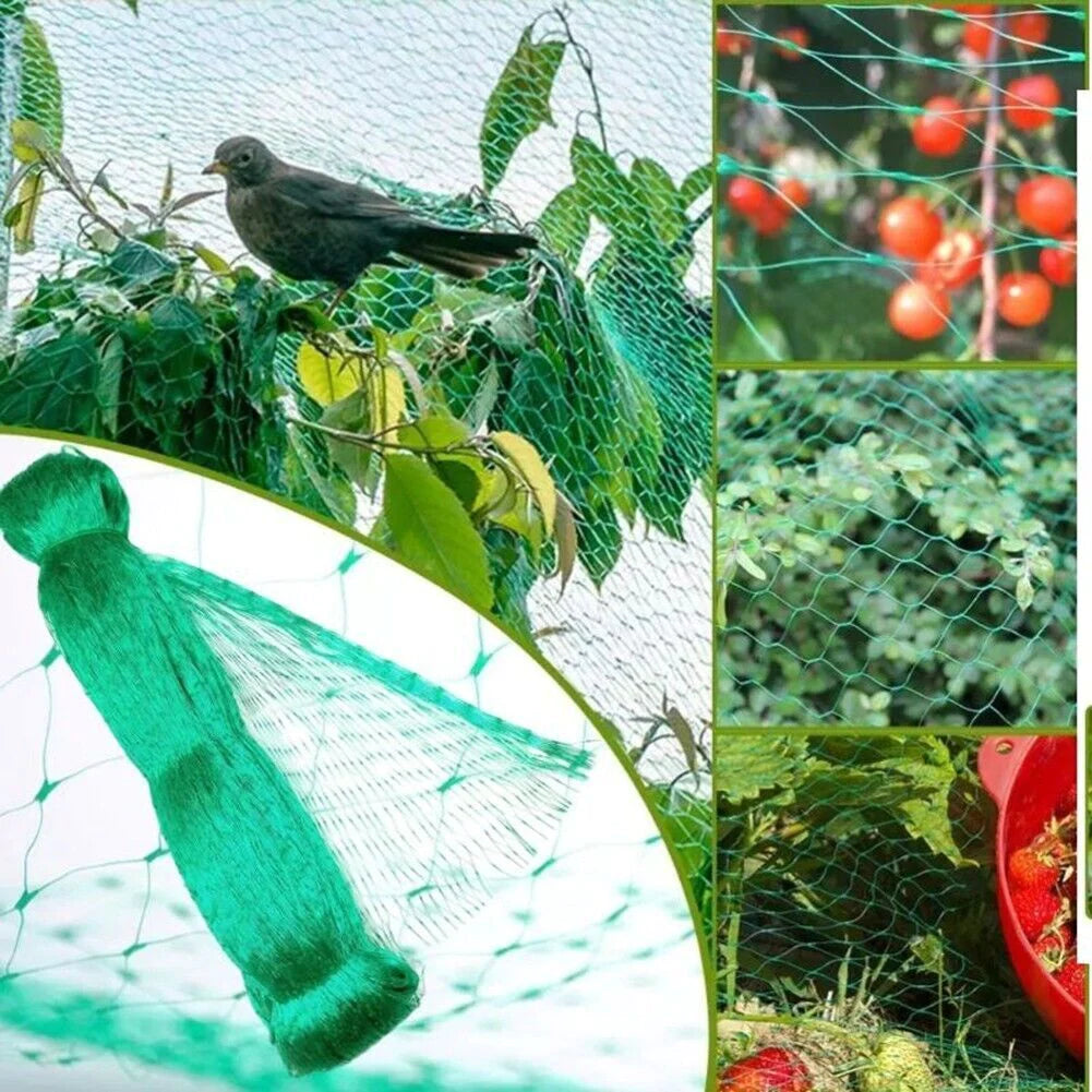 33FT anti Bird Netting Pond Net Protection Tree Crops Plants Fruits Garden Mesh