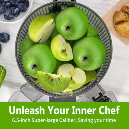 Cold Press Juicer 6.5 Extra Large Feed Chute 3~10days
