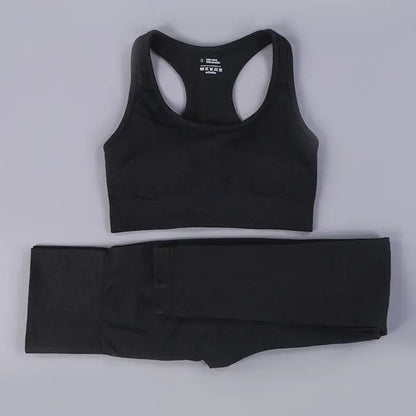 2/3PCS Seamless Women Workout Sportswear