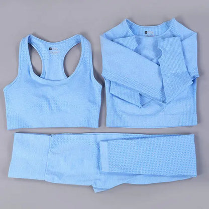 2/3PCS Seamless Women Workout Sportswear